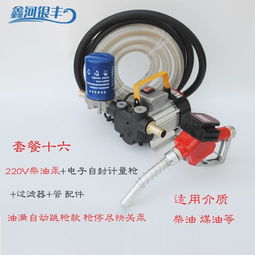 電動(dòng)抽油泵12v24v220v汽油柴油加油泵車載防爆輸油泵手提式抽油機(jī),一品好特惠